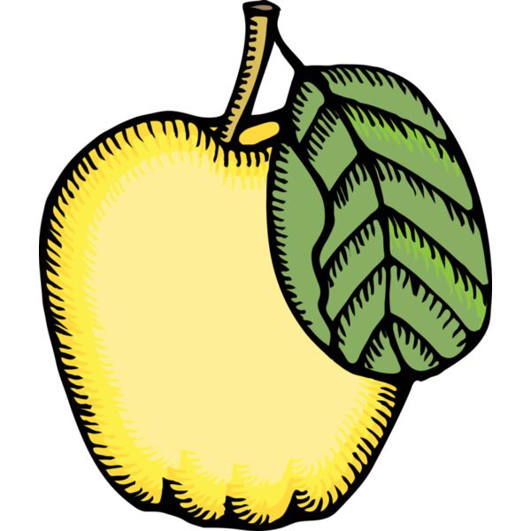 johnny automatic quince Thumbnail