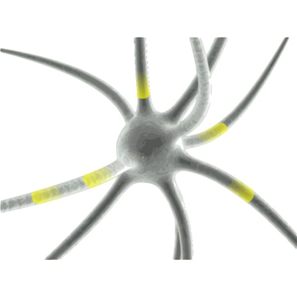 3dneuron Thumbnail