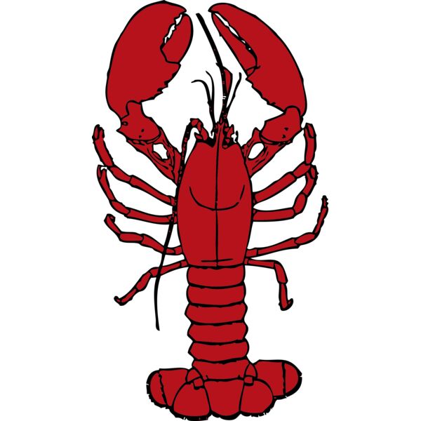 johnny automatic lobster 1 Thumbnail
