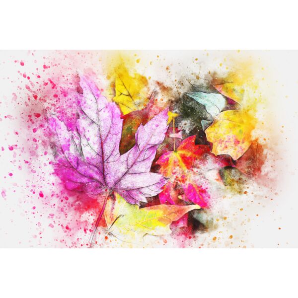 leaves 2630470 Thumbnail