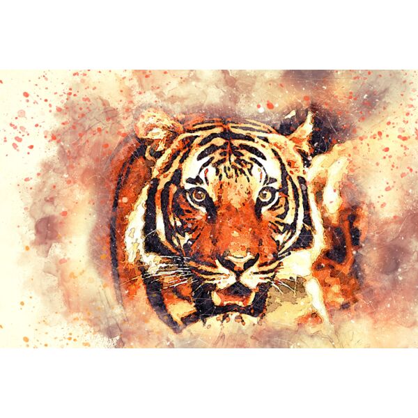 tiger 2719614 Thumbnail