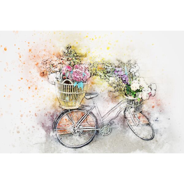 bicycle 2416366 Thumbnail