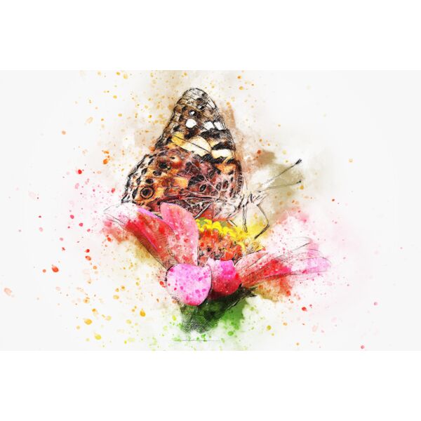 butterfly 2737258 Thumbnail