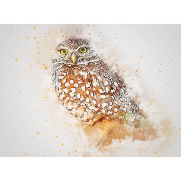 bird 2630457 Thumbnail