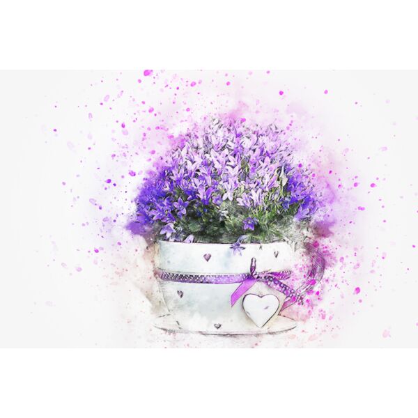 flower 2578811 Thumbnail