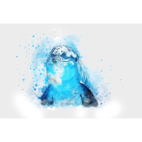 dolphin 2409511 Thumbnail