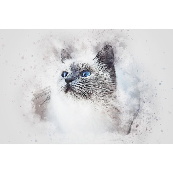 cat 2578806 Thumbnail