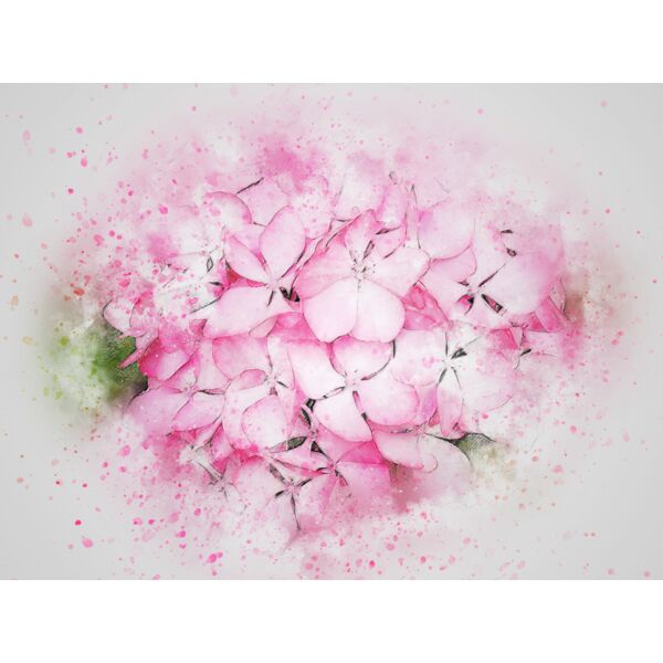 flower 2730524 Thumbnail