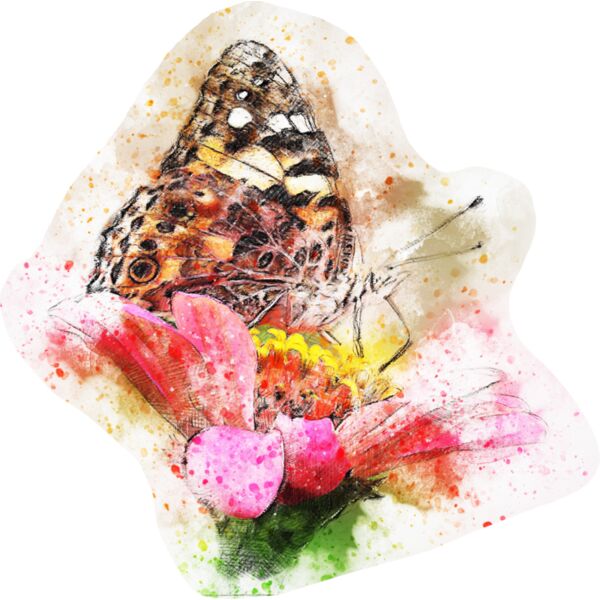 butterfly 2737258 Thumbnail