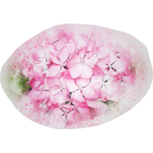 flower 2730524 Thumbnail