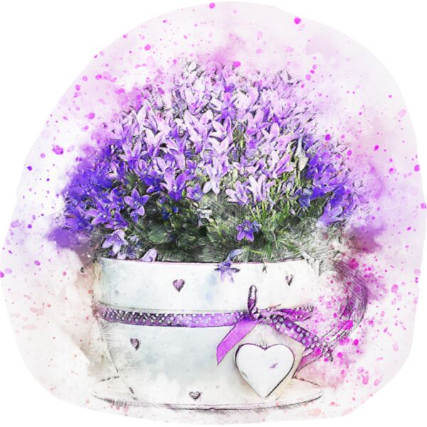 flower 2578811 Thumbnail