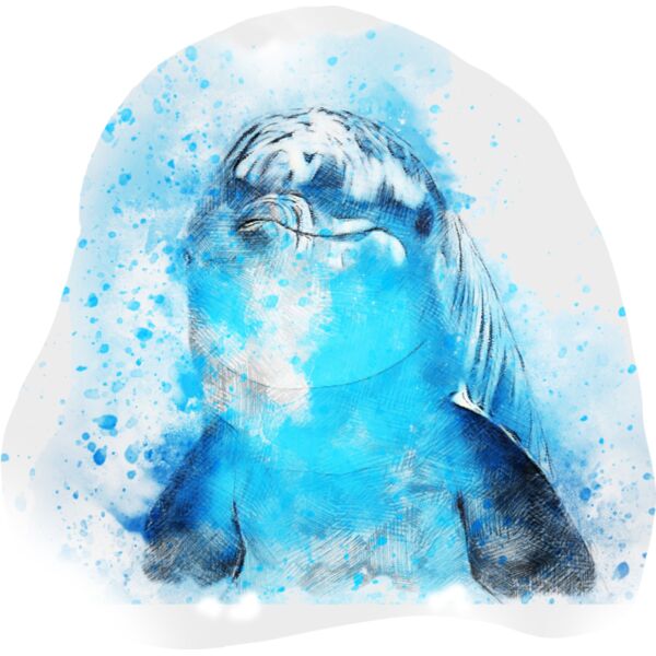 dolphin 2409511 Thumbnail