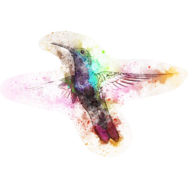 bird 2622395 Thumbnail