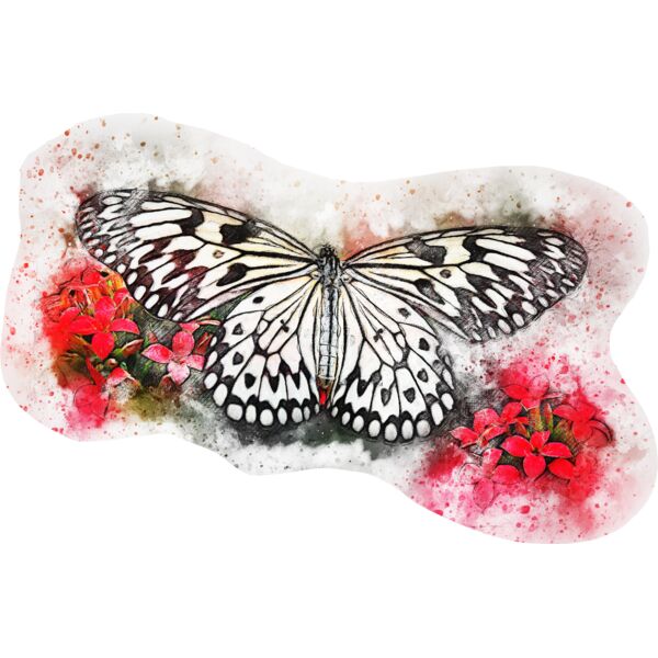 butterfly 2484682 Thumbnail