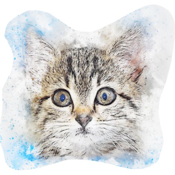 cat 2529384 Thumbnail