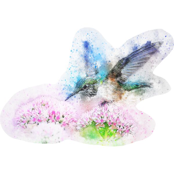 bird 2573779 Thumbnail