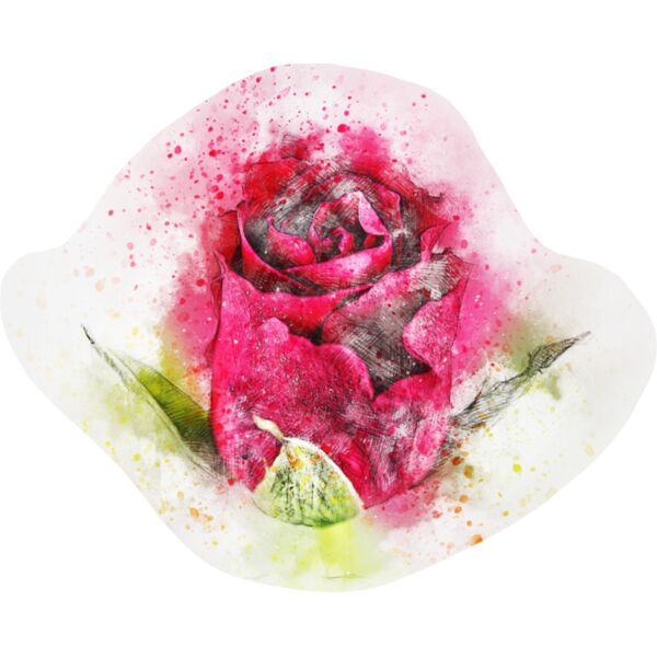 flower 2495215 Thumbnail