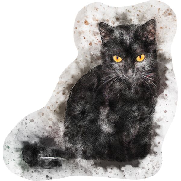 cat 2427178 Thumbnail