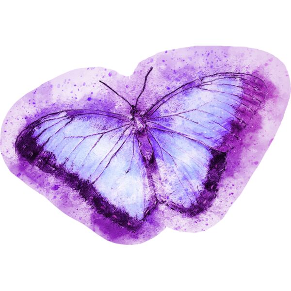 butterfly 2265010 Thumbnail