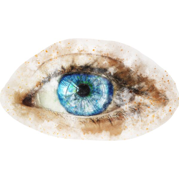 eye 2555760 Thumbnail