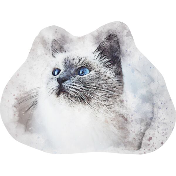 cat 2578806 Thumbnail