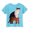 Toddler 5.5 oz. Jersey Short-Sleeve T-Shirt Thumbnail