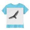 Toddler 5.5 oz. Jersey Short-Sleeve T-Shirt Thumbnail