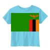 Toddler 5.5 oz. Jersey Short-Sleeve T-Shirt Thumbnail