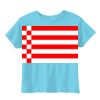 Toddler 5.5 oz. Jersey Short-Sleeve T-Shirt Thumbnail