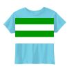 Toddler 5.5 oz. Jersey Short-Sleeve T-Shirt Thumbnail