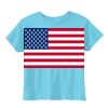 Toddler 5.5 oz. Jersey Short-Sleeve T-Shirt Thumbnail