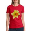 Ultra Cotton® Ladies' 6 oz. T-Shirt Thumbnail