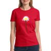 Ultra Cotton® Ladies' 6 oz. T-Shirt Thumbnail