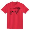 Ultra Cotton® Tall 6 oz. Short-Sleeve T-Shirt Thumbnail