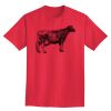 Ultra Cotton® Tall 6 oz. Short-Sleeve T-Shirt Thumbnail