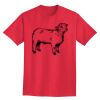 Ultra Cotton® Tall 6 oz. Short-Sleeve T-Shirt Thumbnail