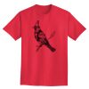 Ultra Cotton® Tall 6 oz. Short-Sleeve T-Shirt Thumbnail