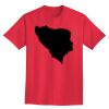 Ultra Cotton® Tall 6 oz. Short-Sleeve T-Shirt Thumbnail