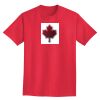 Ultra Cotton® Tall 6 oz. Short-Sleeve T-Shirt Thumbnail