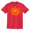 Ultra Cotton® Tall 6 oz. Short-Sleeve T-Shirt Thumbnail