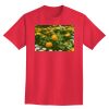 Ultra Cotton® Tall 6 oz. Short-Sleeve T-Shirt Thumbnail