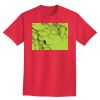 Ultra Cotton® Tall 6 oz. Short-Sleeve T-Shirt Thumbnail