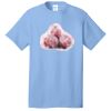 5.4 oz 100% Cotton T Shirt Thumbnail